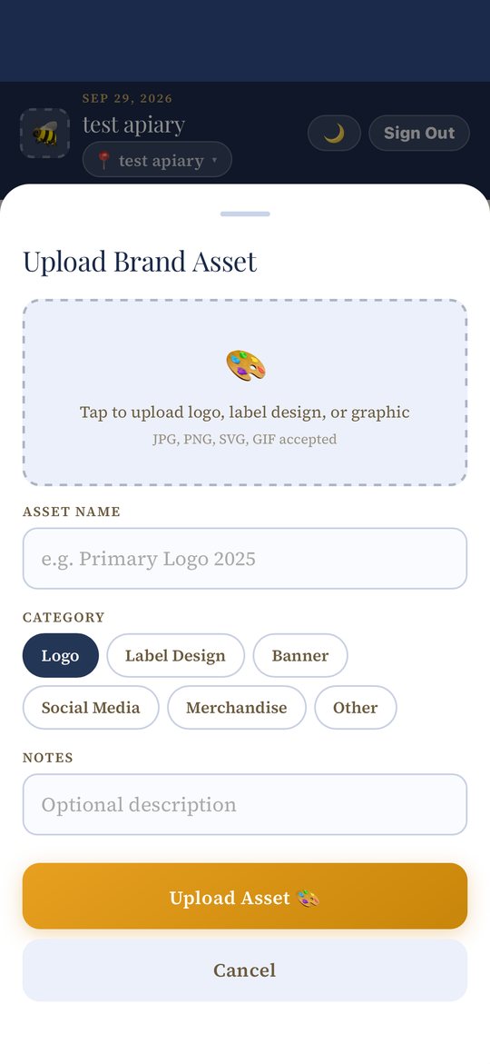The Upload Brand Asset form with an upload area, Asset Name, Category pills, and Notes.
